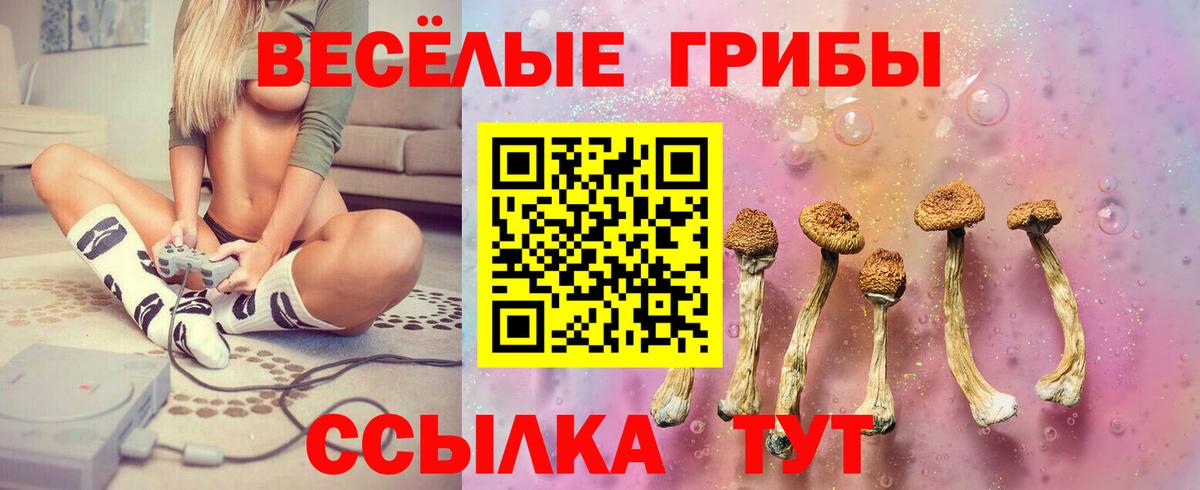Галлюциногенные грибы мицелий Верхняя Салда