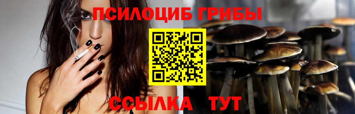 Верхняя Салда  Псилоцибиновые грибы прущие грибы  Вход с VPN 